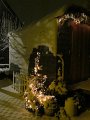 IMG_2485