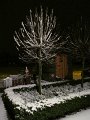 IMG_2496