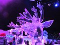 IMG_3682