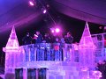 IMG_3694