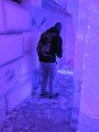 IMG_3709