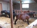 IMG_7700