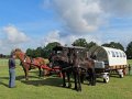 IMG_7744