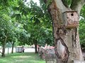 IMG_7888