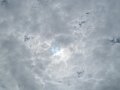 IMG_8156