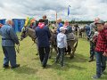 IMG_8163