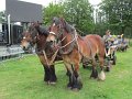 IMG_8192