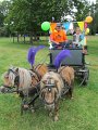 IMG_8194
