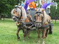 IMG_8195