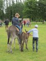 IMG_8200
