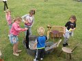 IMG_8381