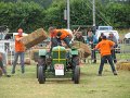 IMG_8770