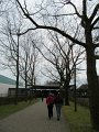 IMG_8310