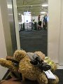 IMG_8546