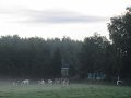 IMG_7872