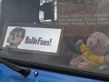 IMG_3174