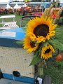IMG_2535