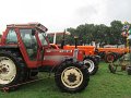 IMG_2598
