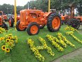 IMG_2608