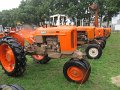 IMG_2613