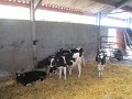 IMG_8623
