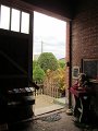 IMG_3666
