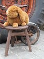 IMG_0879