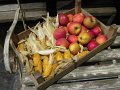 IMG_1364
