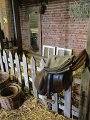 IMG_1378