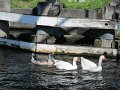 IMG_6629
