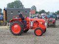 IMG_7463