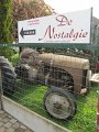 IMG_1876