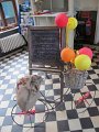IMG_2400
