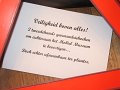 IMG_7981