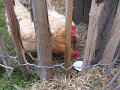 IMG_6203