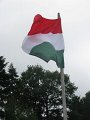 IMG_6234