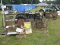 IMG_6236