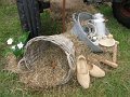IMG_6245