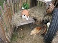 IMG_6257