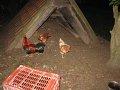 IMG_6506