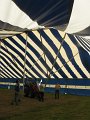 IMG_6528