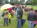 IMG_5695