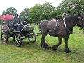 IMG_5696