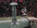 IMG_5724