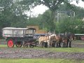IMG_5822