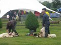 IMG_5832