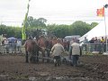 IMG_5839