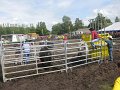 IMG_5934