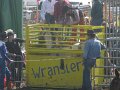 IMG_5973