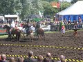 IMG_5976